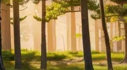 国际期货招商新动态:中阳环球金融发力主账户代理业务