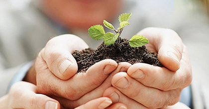 揭秘外盘期货主账户，邂逅中阳环球风采